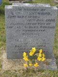image of grave number 293362